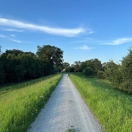Elbwiesenhaus An Der Elbe Σπίτι διακοπών *